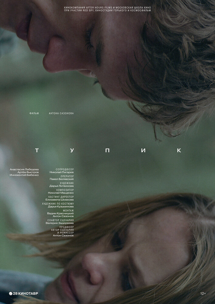 Тупик (2017) постер