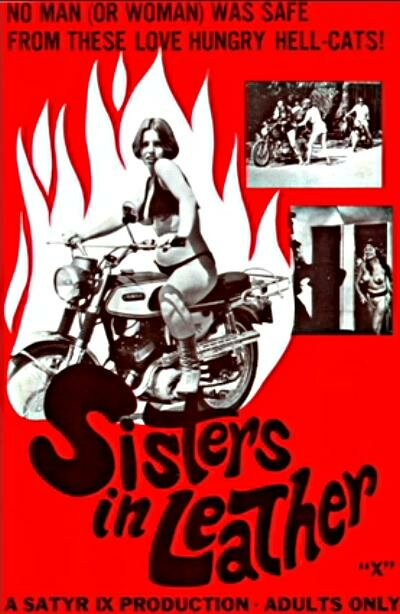 Сестрички в коже (1969) постер
